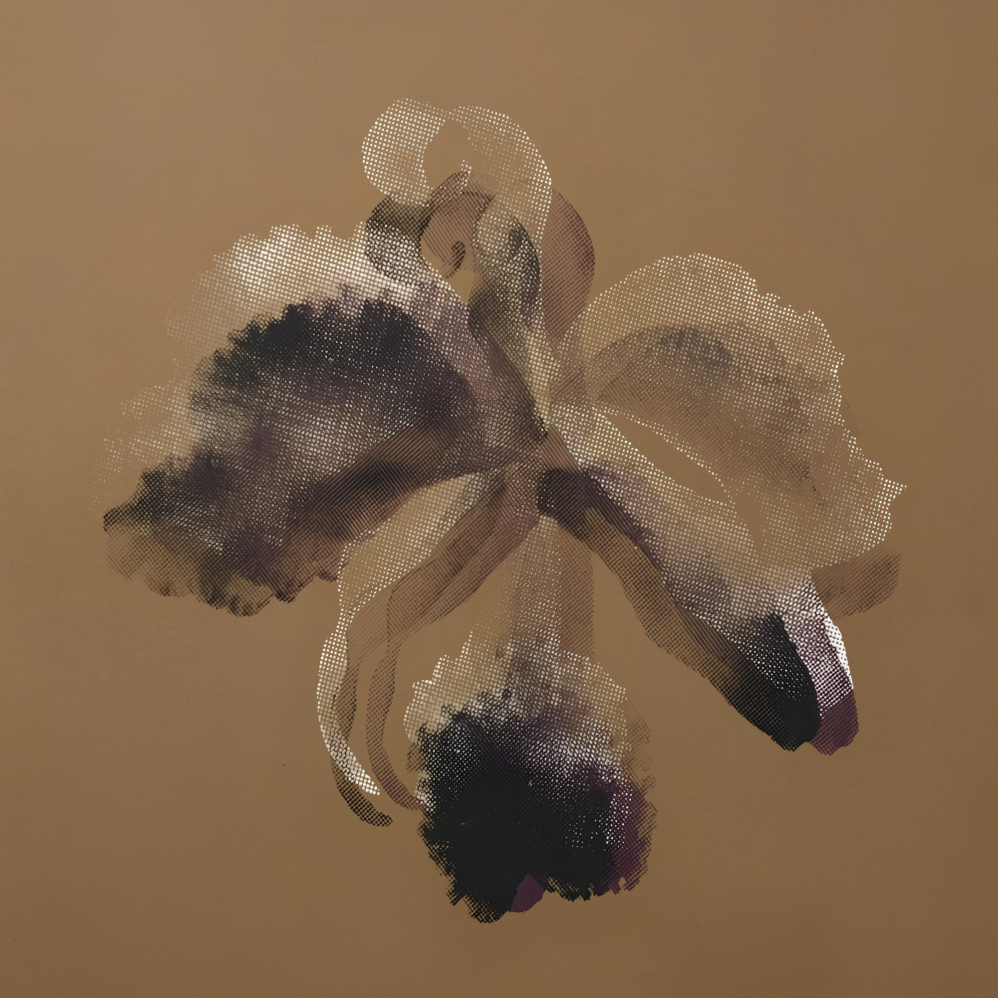 Orquídea y Diente de León · VI